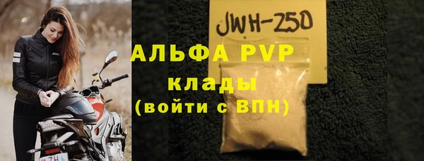 прущие грибы Волоколамск