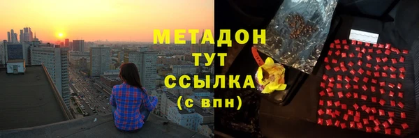 прущие грибы Волоколамск