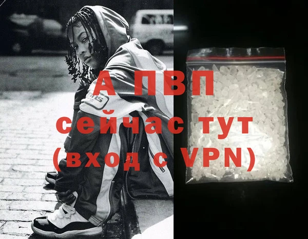 прущие грибы Волоколамск