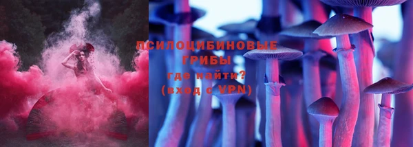 ПСИЛОЦИБИНОВЫЕ ГРИБЫ Володарск