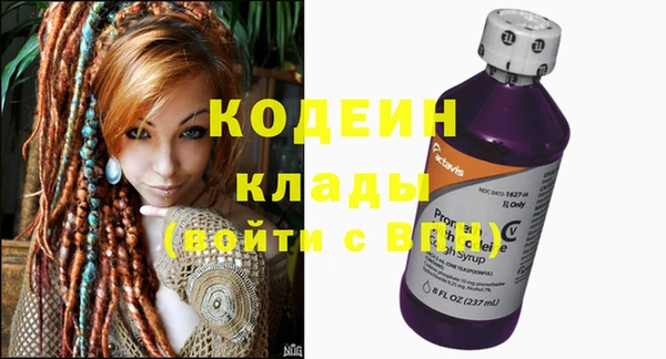 apvp Вяземский