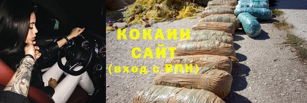 прущие грибы Волоколамск