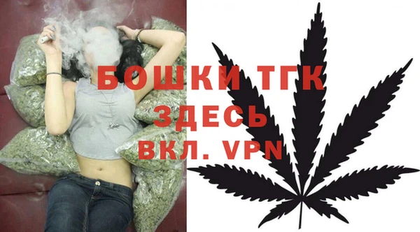 прущие грибы Волоколамск